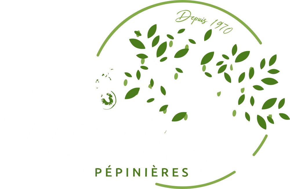 Fichier 2logo-ben-blanc